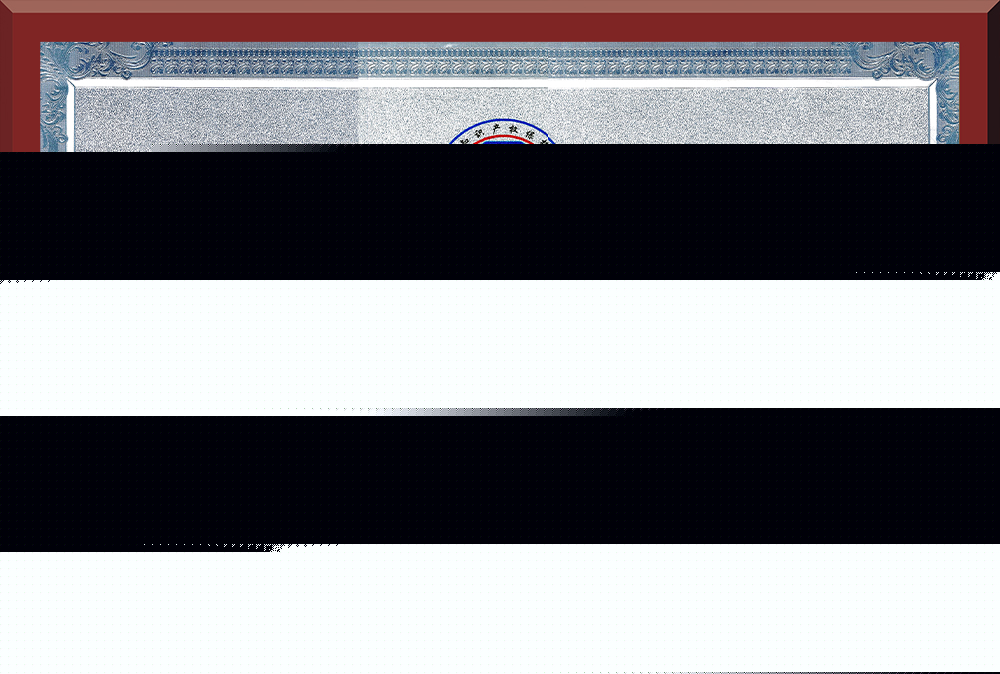 05、廣東省知識(shí)產(chǎn)權(quán)示范企業(yè)